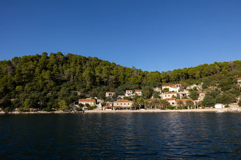 Hiking trail in the forest