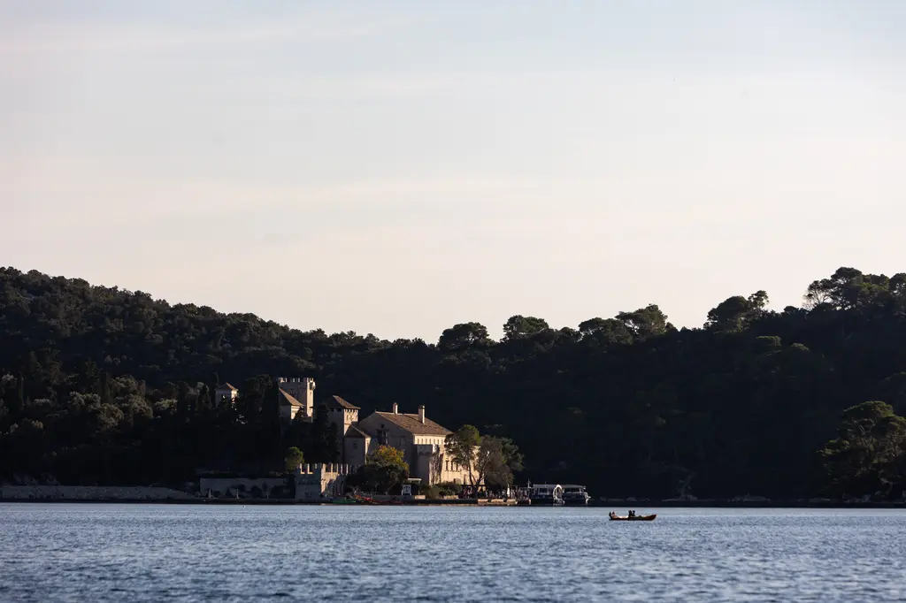 Hiking trail in the forest
