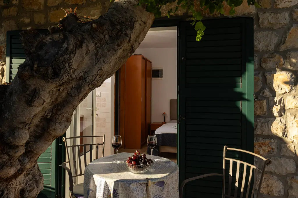 Hiking trail in the forest