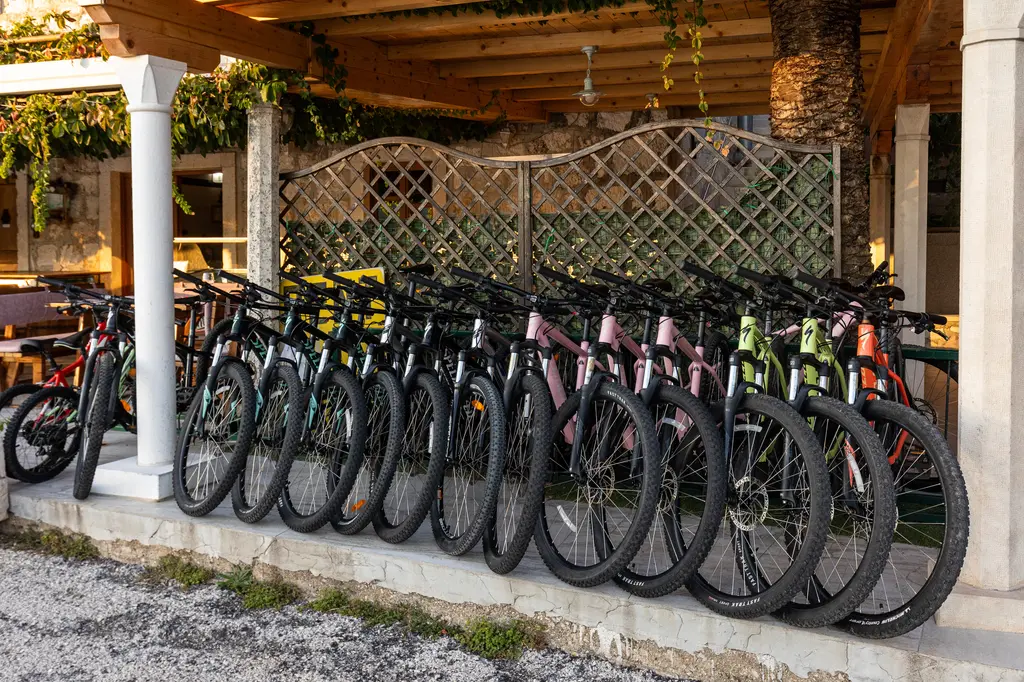 Hiking trail in the forest