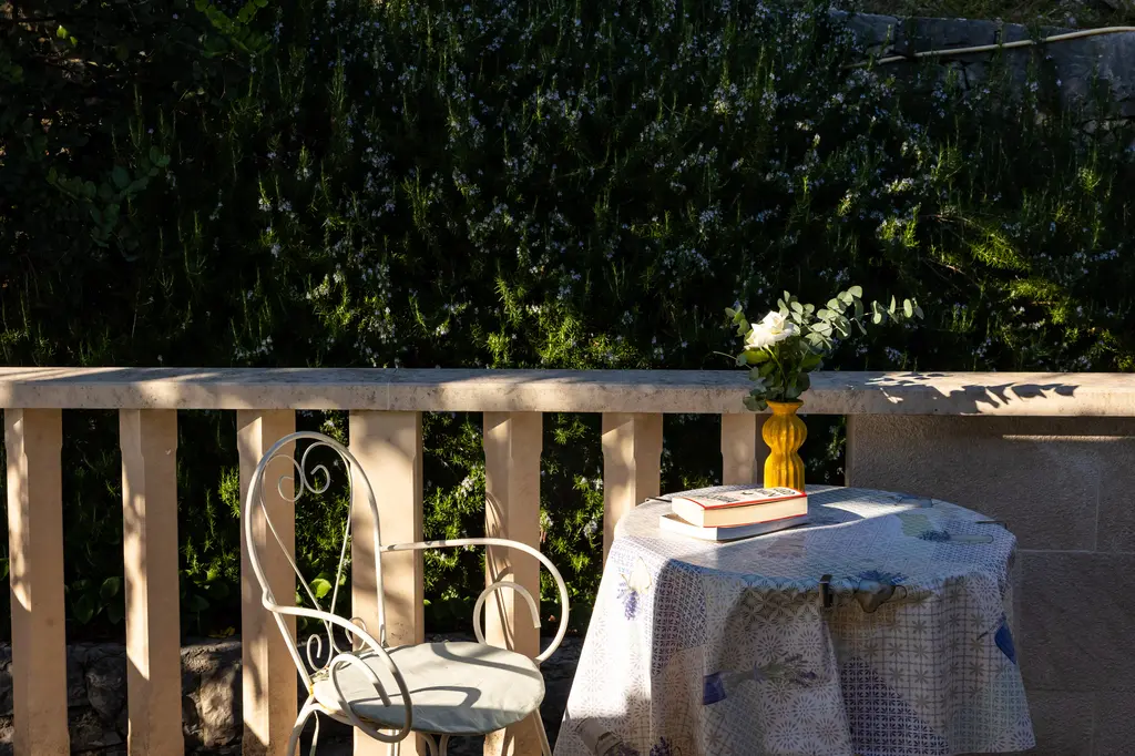 Hiking trail in the forest